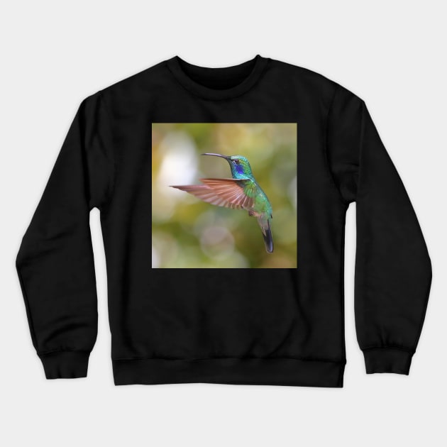 Green Violetear Hummingbird Crewneck Sweatshirt by Carole-Anne